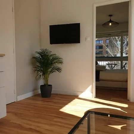 Apartment Cozy Loft Gare, Pompidou, Centre Congres, Muse Metz